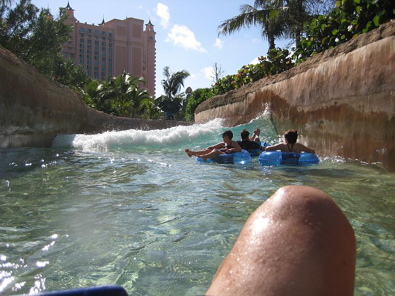 Picture 010